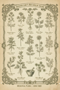 Apothecary's Botanical Guide – Vintage Kräuterposter Anno 1880