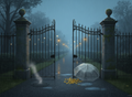 Rain Serenity – Tor im Regen